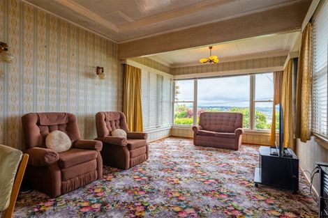 Photo of property in 19 Tamar Street, South Hill, Oamaru, 9400