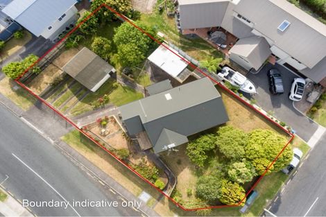 Photo of property in 86 Concord Avenue, Mount Maunganui, 3116