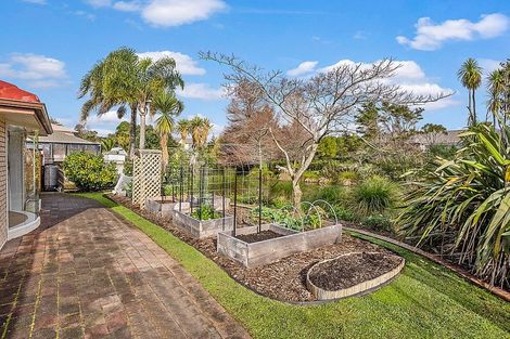 Photo of property in 16 Semillon Avenue, Henderson, Auckland, 0612