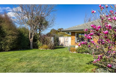 Photo of property in 43 Millstream Drive, Lincoln, 7608