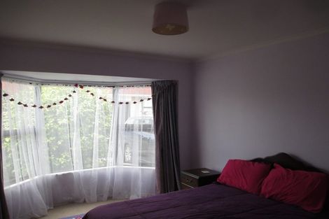 Photo of property in 17 Douglas Street, Levin, 5510