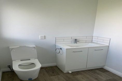 Photo of property in 20 Duke Street, Ngaruawahia, 3720