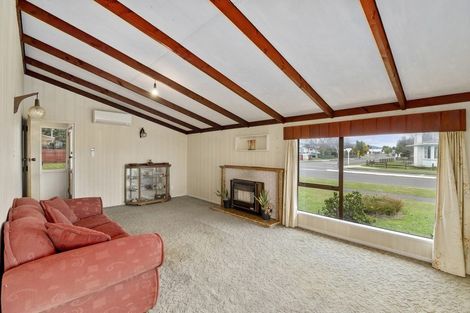 Photo of property in 117 Liverpool Street, Levin, 5510