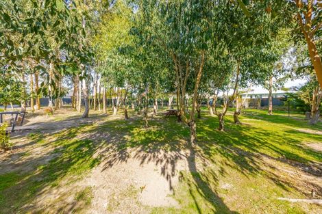 Photo of property in 2b Bibby Street, Waipawa, 4210