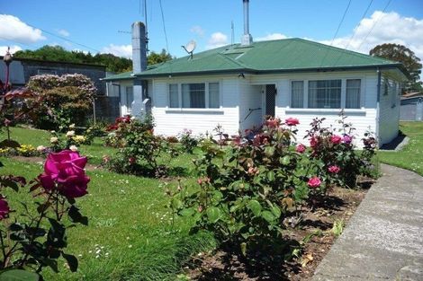 Photo of property in 9 Sholson Street, Putaruru, 3411