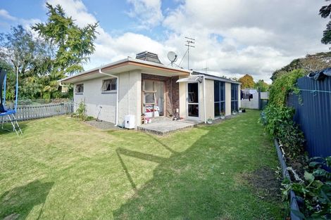 Photo of property in 157a Cameron Road, Te Puke, 3119