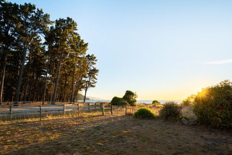 Photo of property in 248 Rarangi Beach Road, Rarangi, Blenheim, 7273