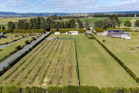 Photo of property in 36 Hogbin Road, Te Teko, Whakatane, 3193