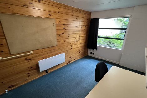 Photo of property in Te Awhina Apartments, 19/22 Sussex Street, Mount Cook, Wellington, 6021