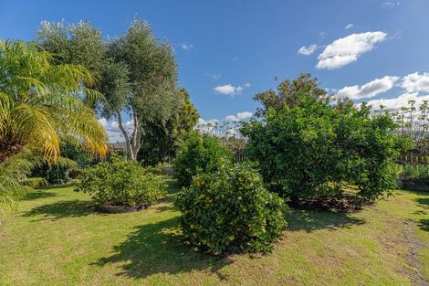 Photo of property in 51 Cholmondeley Crescent, Whitianga, 3510