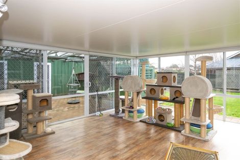 Photo of property in 11a Grant Place, Witherlea, Blenheim, 7201