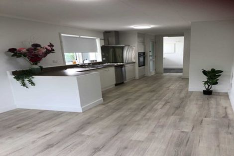 Photo of property in 218 Hampton Downs Road, Whangamarino, Te Kauwhata, 3782