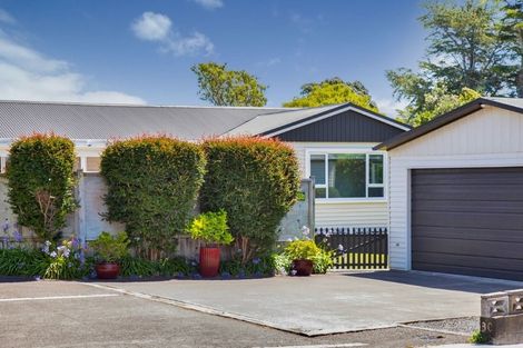 Photo of property in 3b Wheeler Place, Upper Vogeltown, New Plymouth, 4310