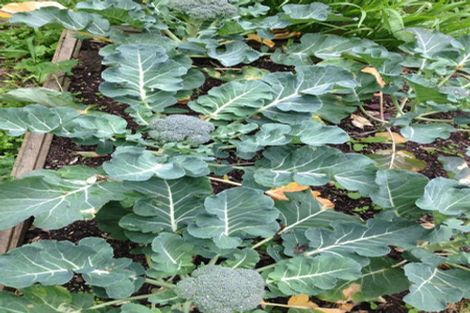 Photo of property in 2a Rangiuru Road, Mahina Bay, Lower Hutt, 5013