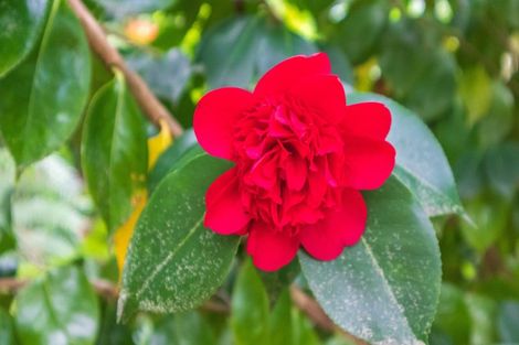 Photo of property in 195 Driving Creek Road, Coromandel, 3506