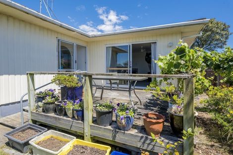 Photo of property in 58 Strathmore Avenue, Levin, 5510