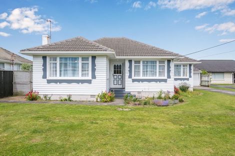 Photo of property in 15 Carlisle Street, Levin, 5510