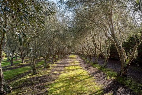 Photo of property in 28 Poplar Glade, Mangawhai, Kaiwaka, 0573