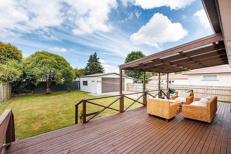 Photo of property in 478 Ruahine Street, Terrace End, Palmerston North, 4410