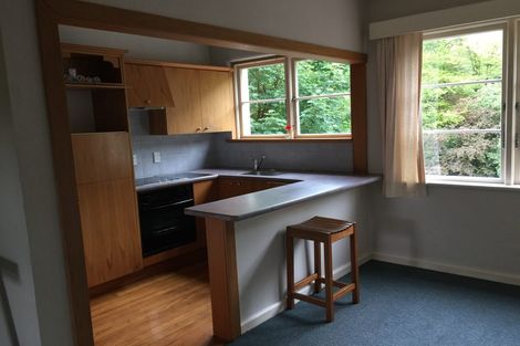 Photo of property in 4e Alva Street, Dunedin Central, Dunedin, 9016