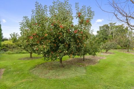 Photo of property in 119 Armstrong Road, Te Puna, Tauranga, 3174