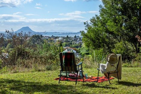 Photo of property in 3175l Ohauiti Road, Ohauiti, Tauranga, 3173