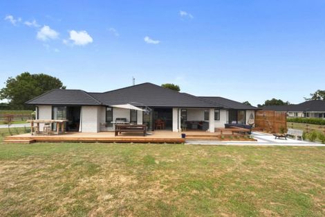 Photo of property in 223a Matangi Road, Matangi, Hamilton, 3284