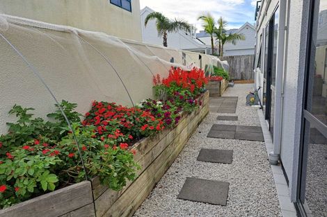 Photo of property in 26a Sunbrae Grove, Mount Maunganui, 3116