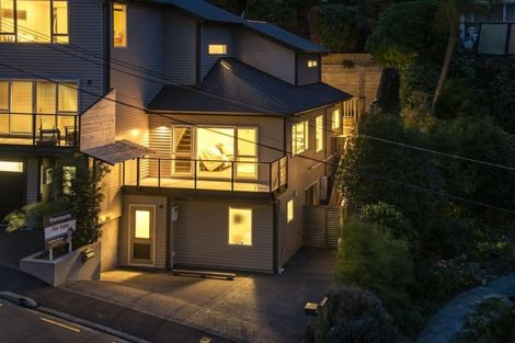 Photo of property in 3b Mana Street, Vogeltown, Wellington, 6021