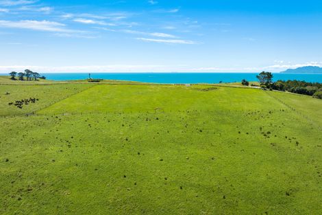 Photo of property in 98 Cape Rodney Road, Leigh, 0985