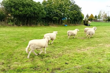 Photo of property in 377c Telephone Road, Puketaha, Hamilton, 3281