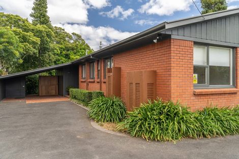 Photo of property in 11a Sussex Street, Chartwell, Hamilton, 3210