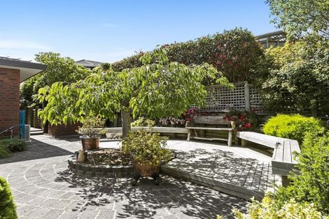 Photo of property in 139 Doon Street, Waverley, Dunedin, 9013