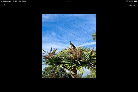 Photo of property in 1306 Whangaparaoa Road, Army Bay, Whangaparaoa, 0930