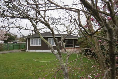 Photo of property in 620 Queen Street East, Levin, 5510