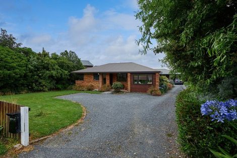Photo of property in 283b Scarborough Street, Kaikoura, 7300