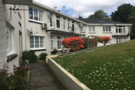 Photo of property in 4e Alva Street, Dunedin Central, Dunedin, 9016