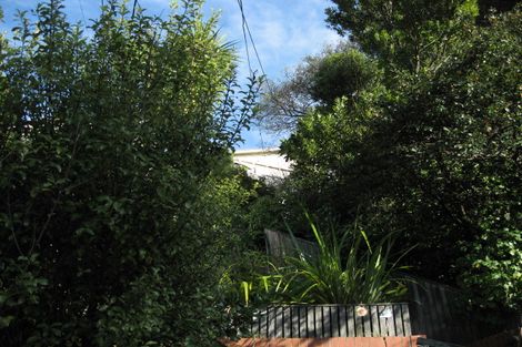Photo of property in 52 Belvedere Road, Hataitai, Wellington, 6021