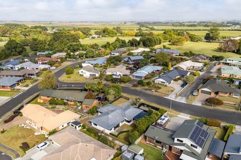 Photo of property in 51 Sunnyhills Avenue, Glenview, Hamilton, 3206