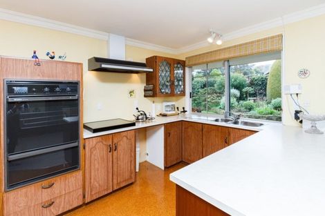 Photo of property in 453 Ruahine Street, Terrace End, Palmerston North, 4410