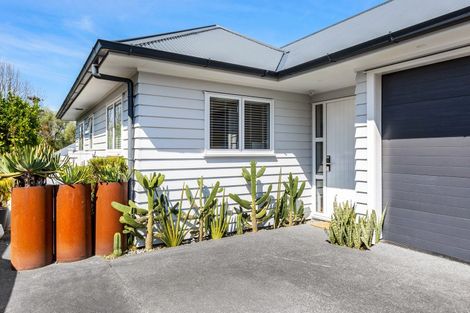 Photo of property in 6 Wainoni Avenue, Point Chevalier, Auckland, 1022