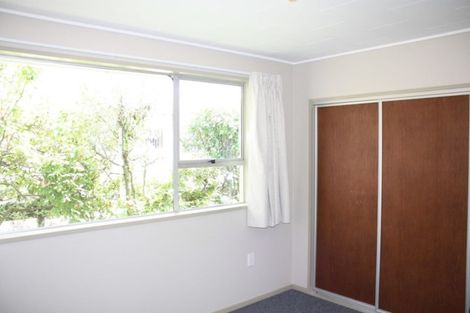 Photo of property in 17a Bradshaw Street, South Dunedin, Dunedin, 9012
