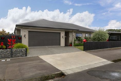 Photo of property in 45a Trafalgar Street, Dannevirke, 4930