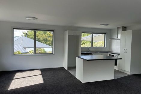 Photo of property in 53b Ardwick Street, Gore, 9710