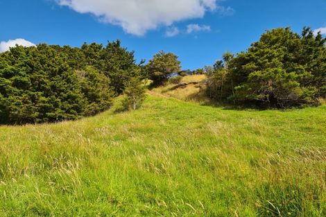 Photo of property in 304 Arapaoa Road, Tinopai, Matakohe, 0593