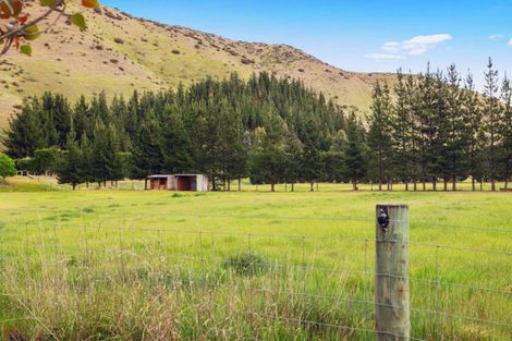 Photo of property in 560 Hurunui Bluff Road, Hurunui, Hawarden, 7385