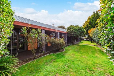 Photo of property in 49 Chaucer Street, Leamington, Cambridge, 3432