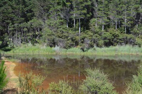 Photo of property in 478 Port Charles Road, Waikawau, Coromandel, 3584