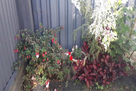 Photo of property in 390-392 Jackson Street, Petone, Lower Hutt, 5012