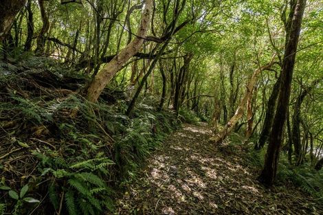 Photo of property in 65 Lookout Road, Peel Forest, Mount Peel, 7992